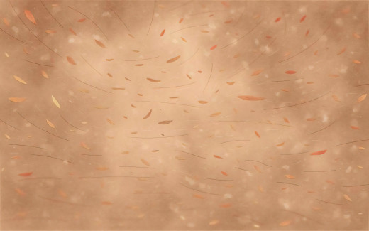 1686943 (a): :2560x1600